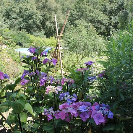 D'hotes Par Hasard Saint-Bressou (Lot)