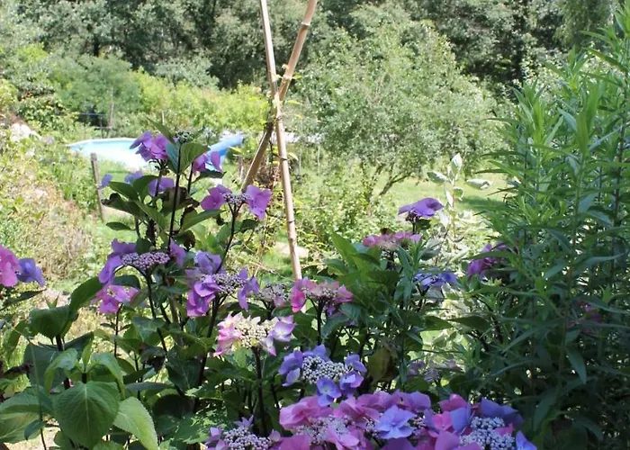 D'hotes Par Hasard Saint-Bressou (Lot)